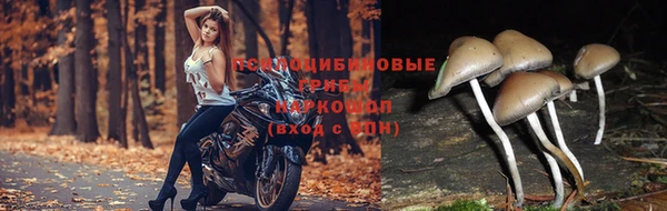мяу мяу кристалл Иннополис